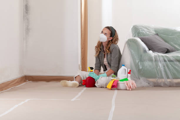 Reliable Mold Testing contractor in Rocky Mount, NC by WQB Mold Removal