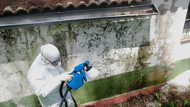 Top rated local Mold Testing specialists in Rocky Mount, NC